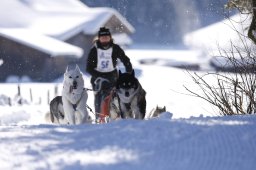 Lenk 2013